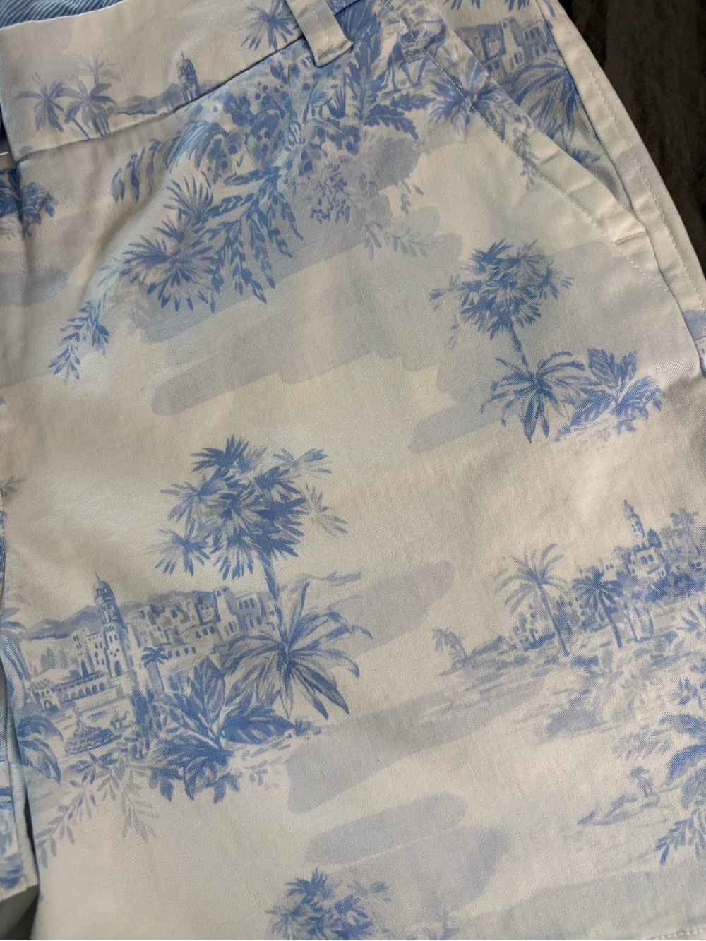 Crown & Ivy Caroline Toile  Cotton Shorts. Size 10. - Picture 6 of 12